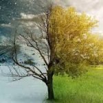 Winter/Summer at Lake Wanaka