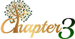 The Great Gatsby Chapter Three…